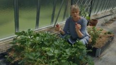 Nedjelja, 14. travnja na Prvom, Foto: Vrtlarica: Male tajne velikih plodova/HRT