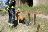 Vatrogasni timovi iz cijele zemlje održavaju redovitu vježbu potrage i spašavanja, Foto: Sasa Miljevic/PIXSELL