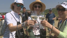 Wine&walk