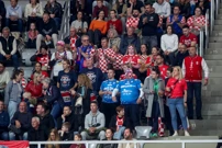 Navijači na utakmici Hrvatske i Švicarske , Foto: Šime Zelić/PIXSELL