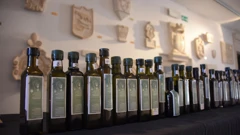 Smotra maslinovog ulja i vina u Vodnjanu