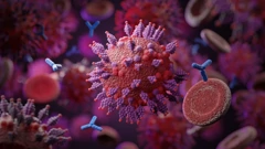 Koronavirus