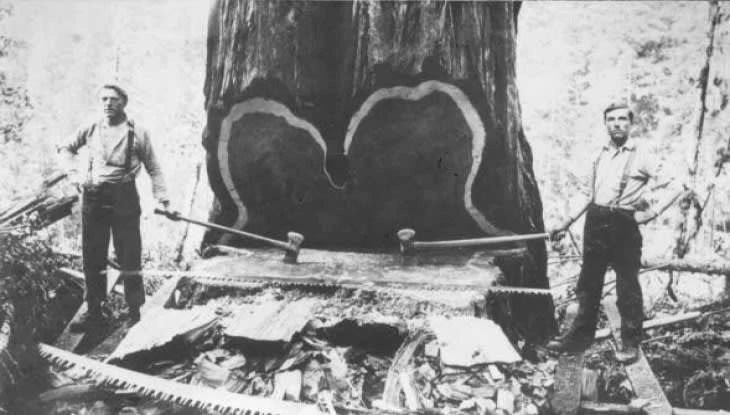 (Foro: hrvatiizvanrh.gov.hr)