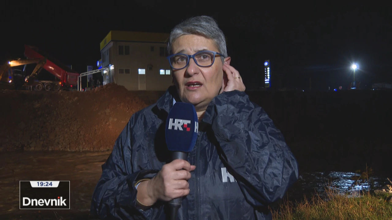 Špela Cvtiković Iličić o poplavama u BiH, Foto: Dnevnik/HRT