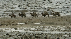 Četvrtak, 4. prosinca na Trećem, Foto: U potrazi za Markom Polom/dokumentarna serija 