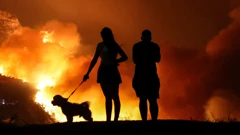 Požar kod Omiša: Evakuiran velik broj turista i mještana, Foto: Ivana Ivanovic/PIXSELL