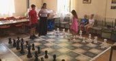 Ciklus radionica šaha u Bjelovaru