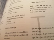 Iz knjige „Osječki gradski govor. Jezične dumine Osječana”, Foto: HRT/Radio Osijek