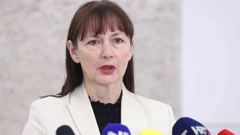 Vesna Vučemilović