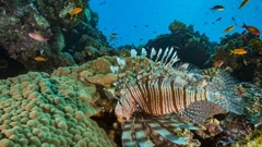 Foto: WWF Adria