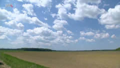 Problematika raspolaganja državnom zemljom u Čađavici