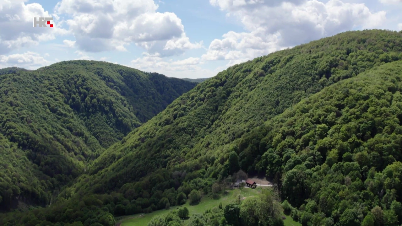 Žumberačke šume