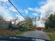 Posljedice nevremena, Foto: Ministarstvo unutarnjih poslova/MUP