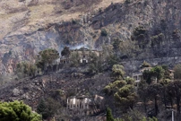 Vatrena stihija hara Sicilijom, Foto: STRINGER/Reuters