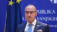 Gordan Grlić Radman