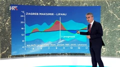 Zoran Vakula