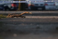 Na Jarunu specijalizirani timovi, pronađen krater i dva padobrana, Foto: Igor Soban/PIXSELL