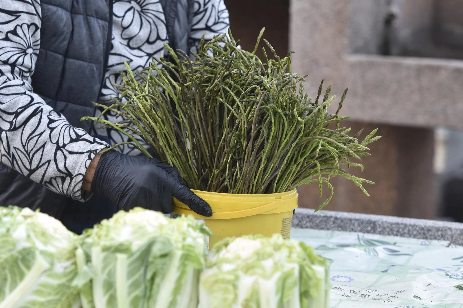 Sve veća potražnja za šparogama, proizvođači suočeni s izazovima