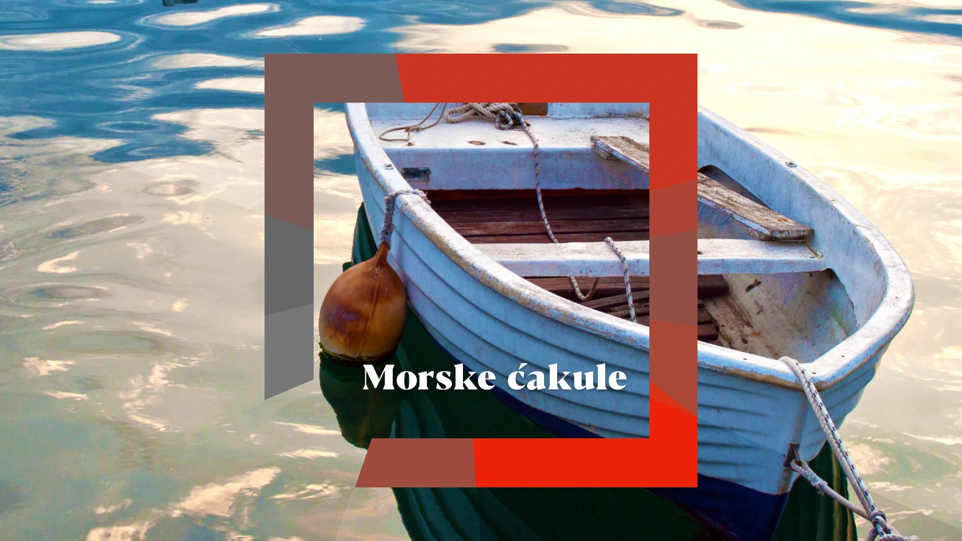 Morske ćakule
