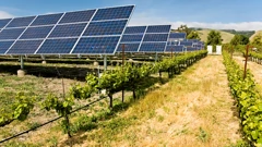 Agrosolari mogu ublažiti i utjecaj klimatskih promjena