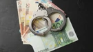 Bivšem upravitelju šumarije 10 mjeseci zatvora zbog traženja mita
