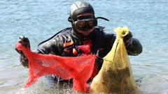 Čišćenje podmorja/Arhiva