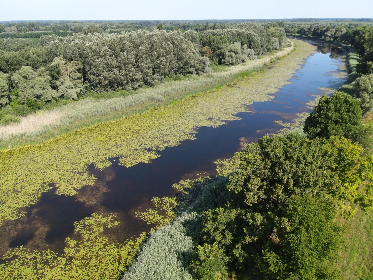 Ponedjeljak, 23. ožujka na Drugom, Foto: Europska Amazonija/dokumentarna serija