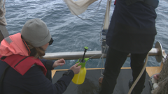 Nedjelja, 15. veljače na Prvom, Foto: Rijeka: More/HRT