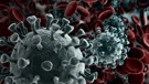 Koronavirus
