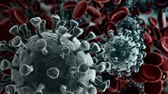 Koronavirus