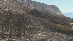Nakon požara velike šteta