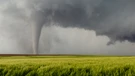 Tornado