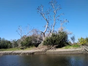 Kopački rit, Foto: Vjekoslav Madunić/osobna arhiva