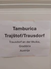 Tamburica Trajštof/Trausdorf iz Gradišća iz Austrije, Foto: GH/HRT