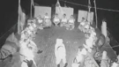 Flotilla