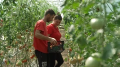 Petak, 31. listopada na Prvom 