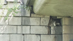 Obnova zagrebačkih mostova, Foto: DJH/HRT