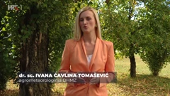 Ivana Čavlina Tomašević, Foto: Plodovi zemlje/HRT