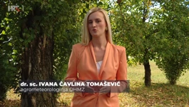 Ivana Čavlina Tomašević