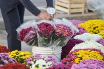 Šibenik, Foto:  Hrvoje Jelavic /Pixsell