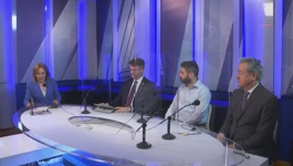 Zvonimir Savić, Hrvoje Meštrović, Danko Sučević