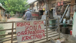 U svinjcu Ljubomira Kolarevića muk