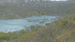 U kišovitim mjesecima šuma postaje jezero