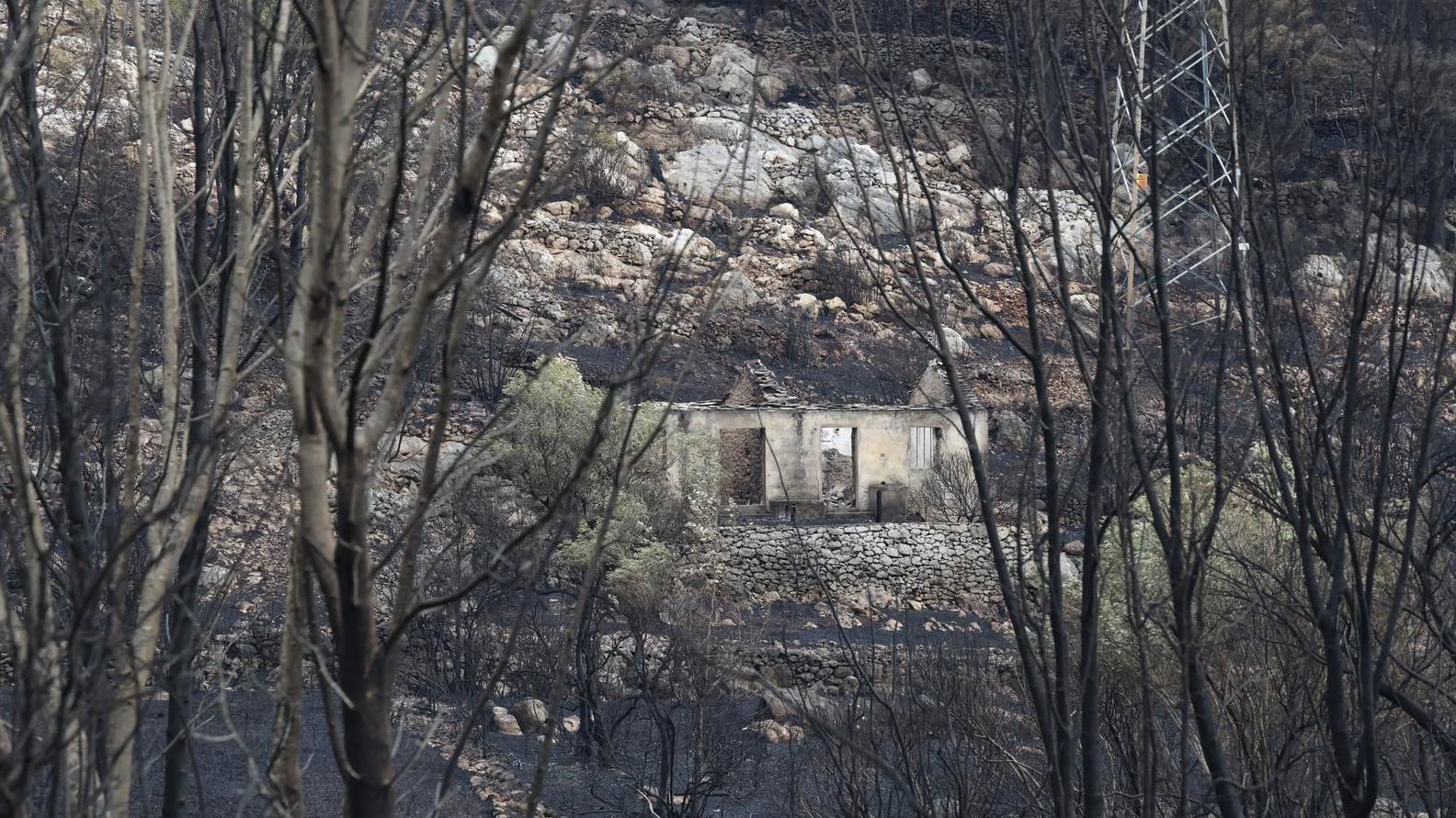 Požar na Korčuli pod kontrolom, izgorjelo 550 hektara