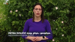Petra Sviličić