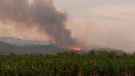 Veliki šumski požar zahvatio jug Francuske