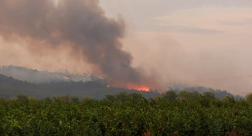 Veliki šumski požar zahvatio jug Francuske