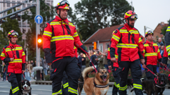Generalna proba svečanog vojnog mimohoda, Foto: Goran Stanzl/PIXSELL