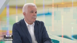 Mladen Vedriš