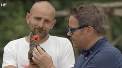 Iz serijala Roberta Knjaza "Pametan kao kokoš, tvrdoglav kao magarac"